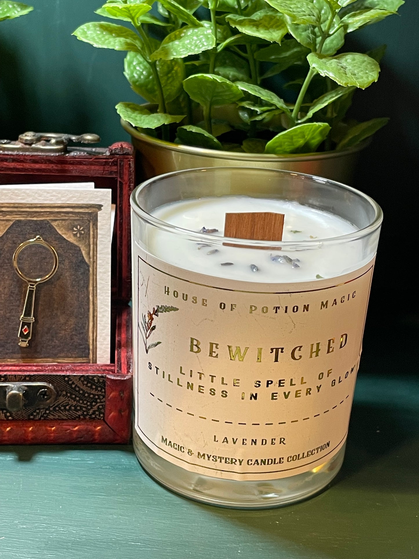 BEWITCHED SOY CANDLE 220g/7.76oz