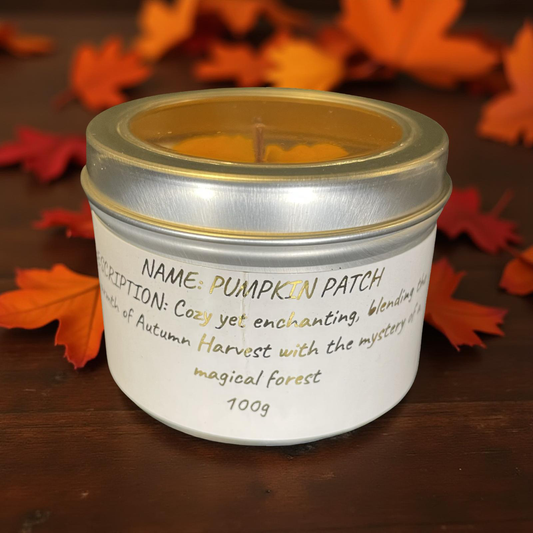 Pumpkin Patch small potion candle 100g