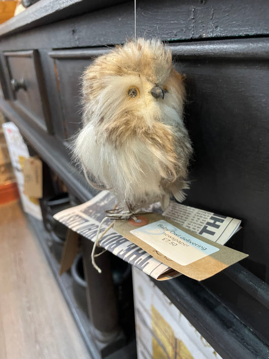 Baby Owl Delivering Newspaper