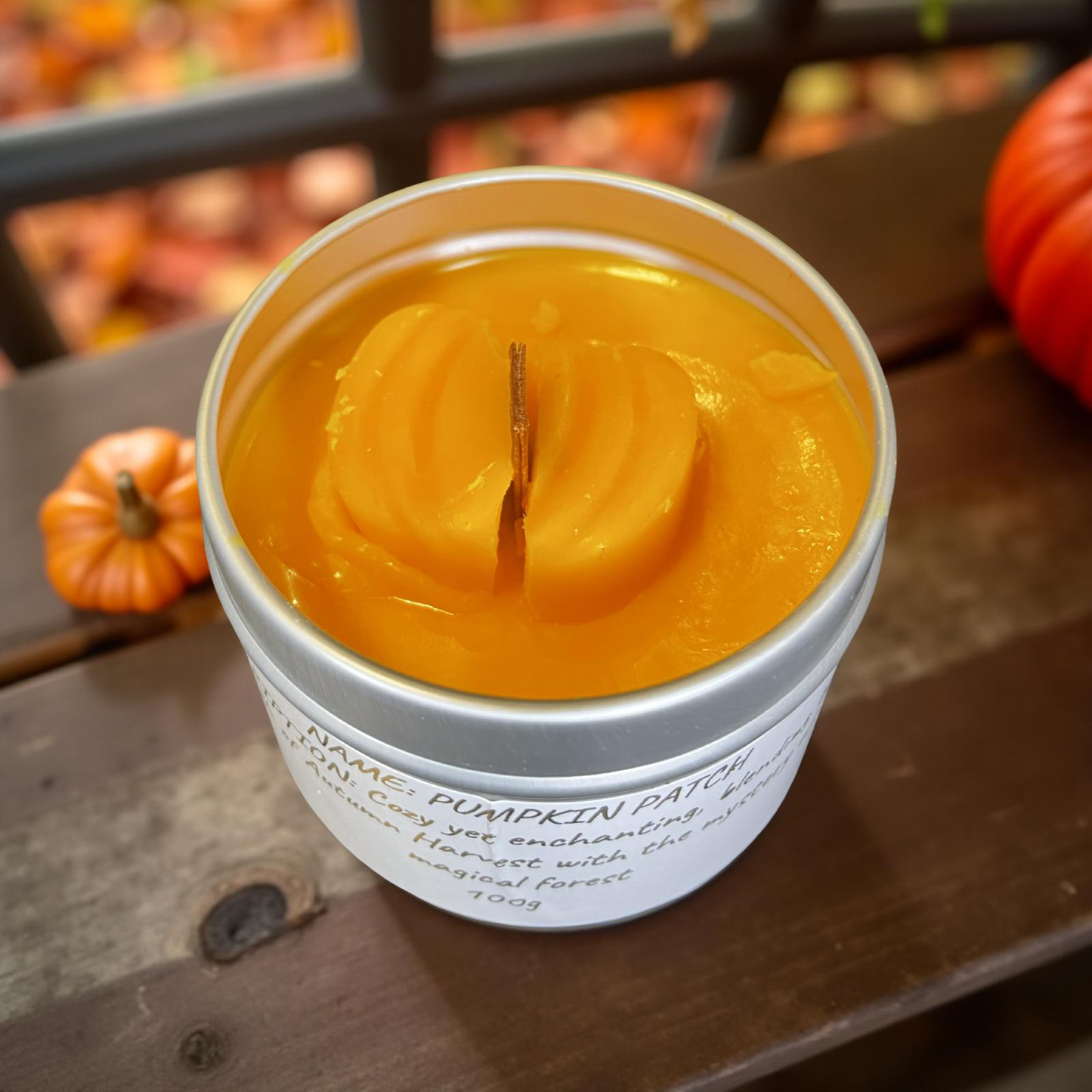 Pumpkin Patch small potion candle 100g