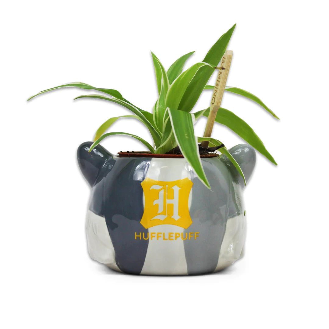 Plant Pot  - Harry Potter (Hufflepuff)