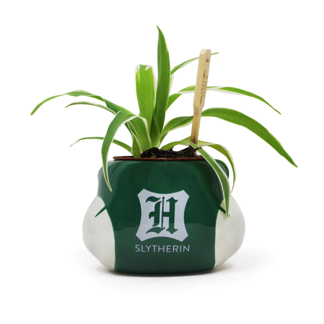 Plant Pot Shaped - Harry Potter (Slytherin)